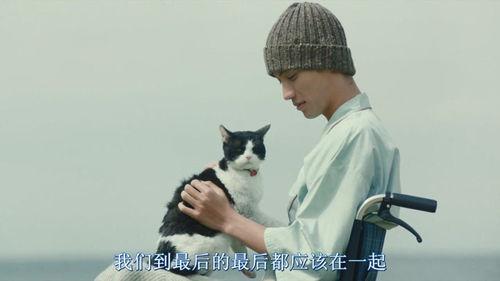 只有猫知道 初恋～,初恋的温馨启示