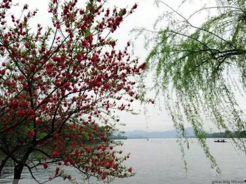 义嫂春色,描绘乡村女性的美丽与坚韧