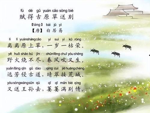 离离原上草,探寻自然之美与生命轮回