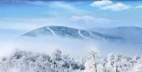 雪落无声,冬日里的静谧诗篇