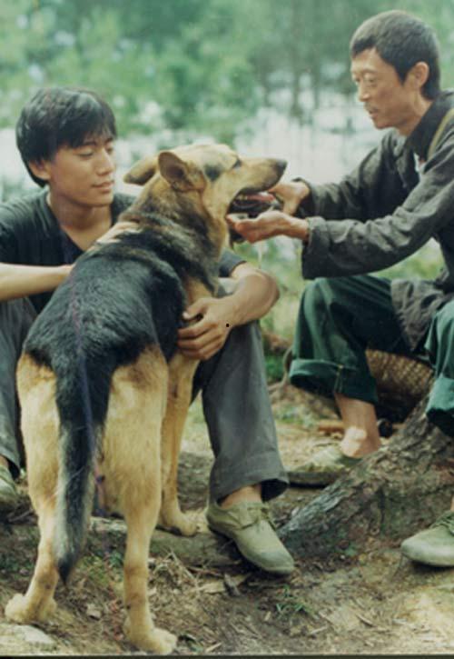 那山那人那狗,一段深山里的温情岁月