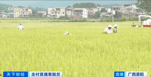 致富从乡村开始,致富新篇章的起点